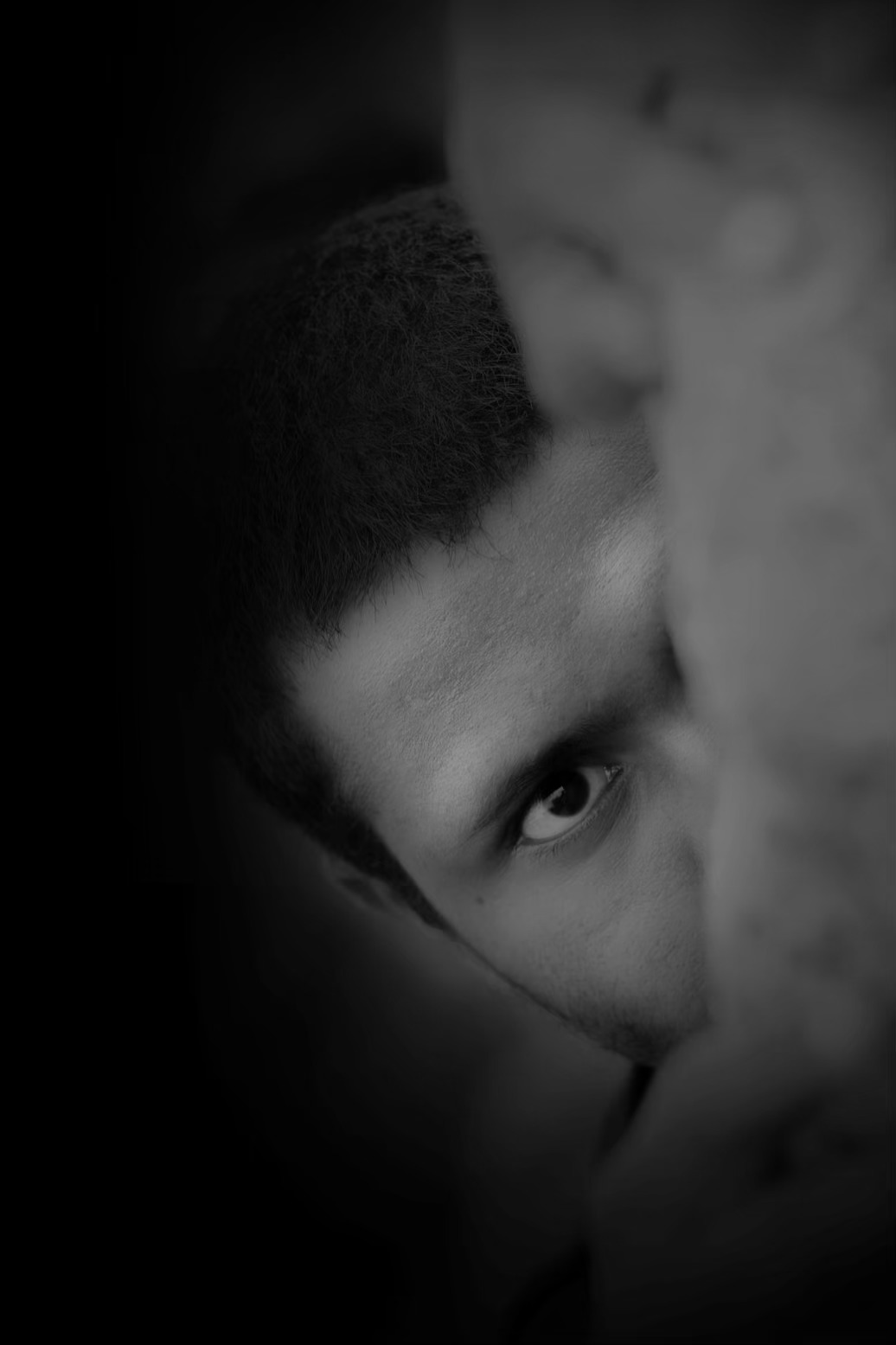 ‎سارا محمدی